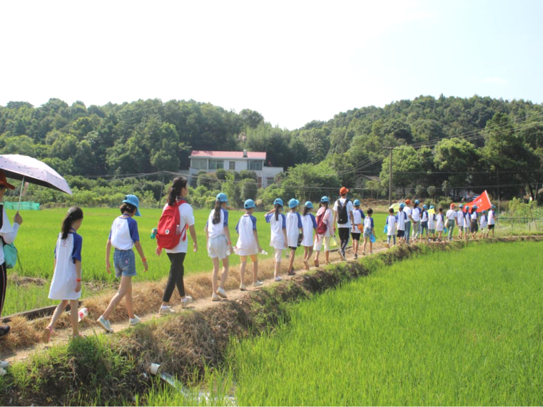 1667563348113291.png 22.png